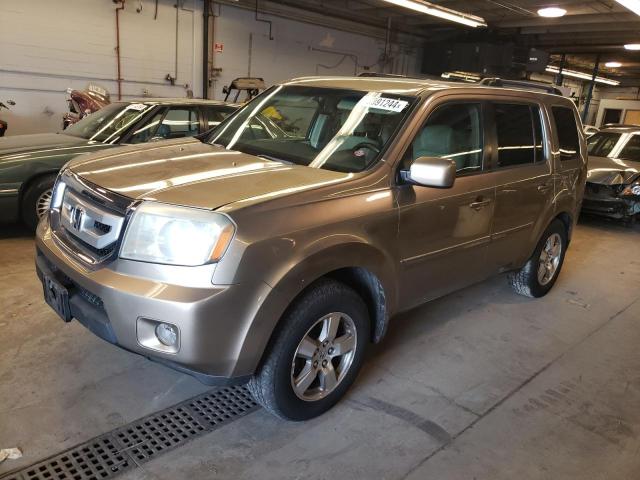 HONDA PILOT 2009 5fnyf48409b012535