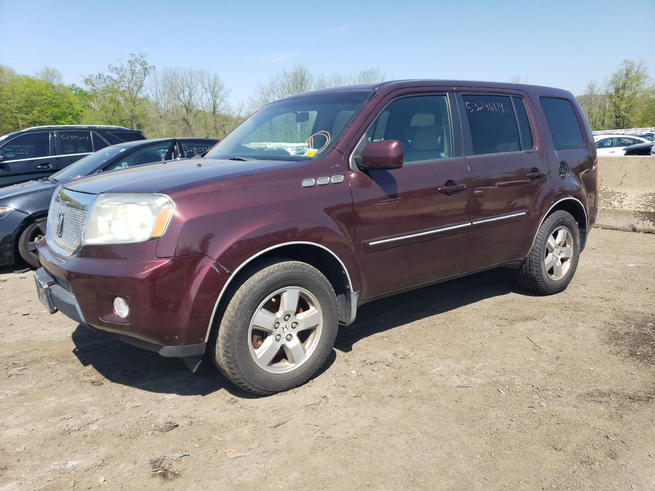 HONDA PILOT 2009 5fnyf48439b026736