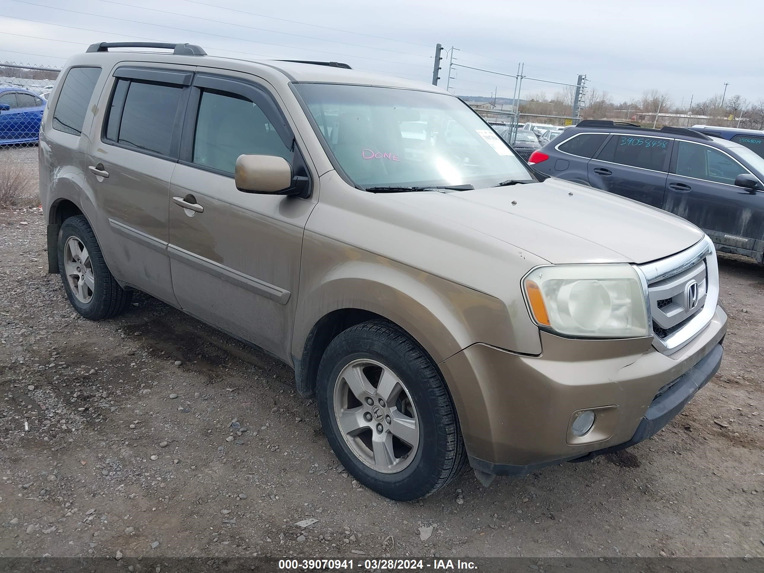 HONDA PILOT 2009 5fnyf48439b031886