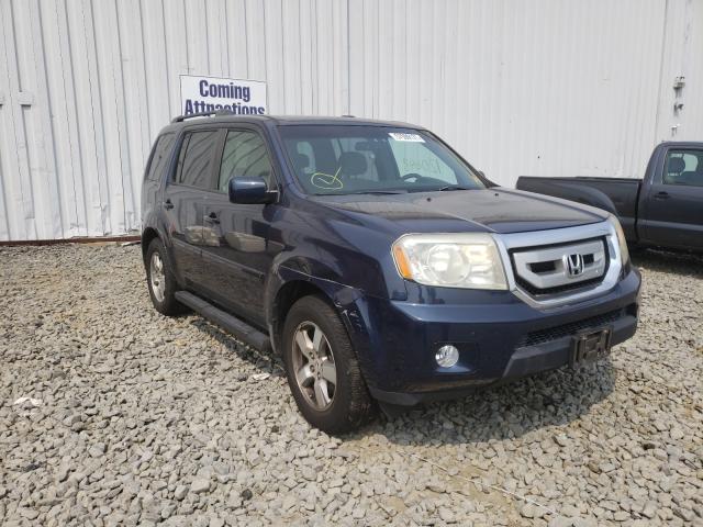 HONDA PILOT 2009 5fnyf48479b052093