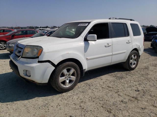 HONDA PILOT EX 2009 5fnyf484x9b017273