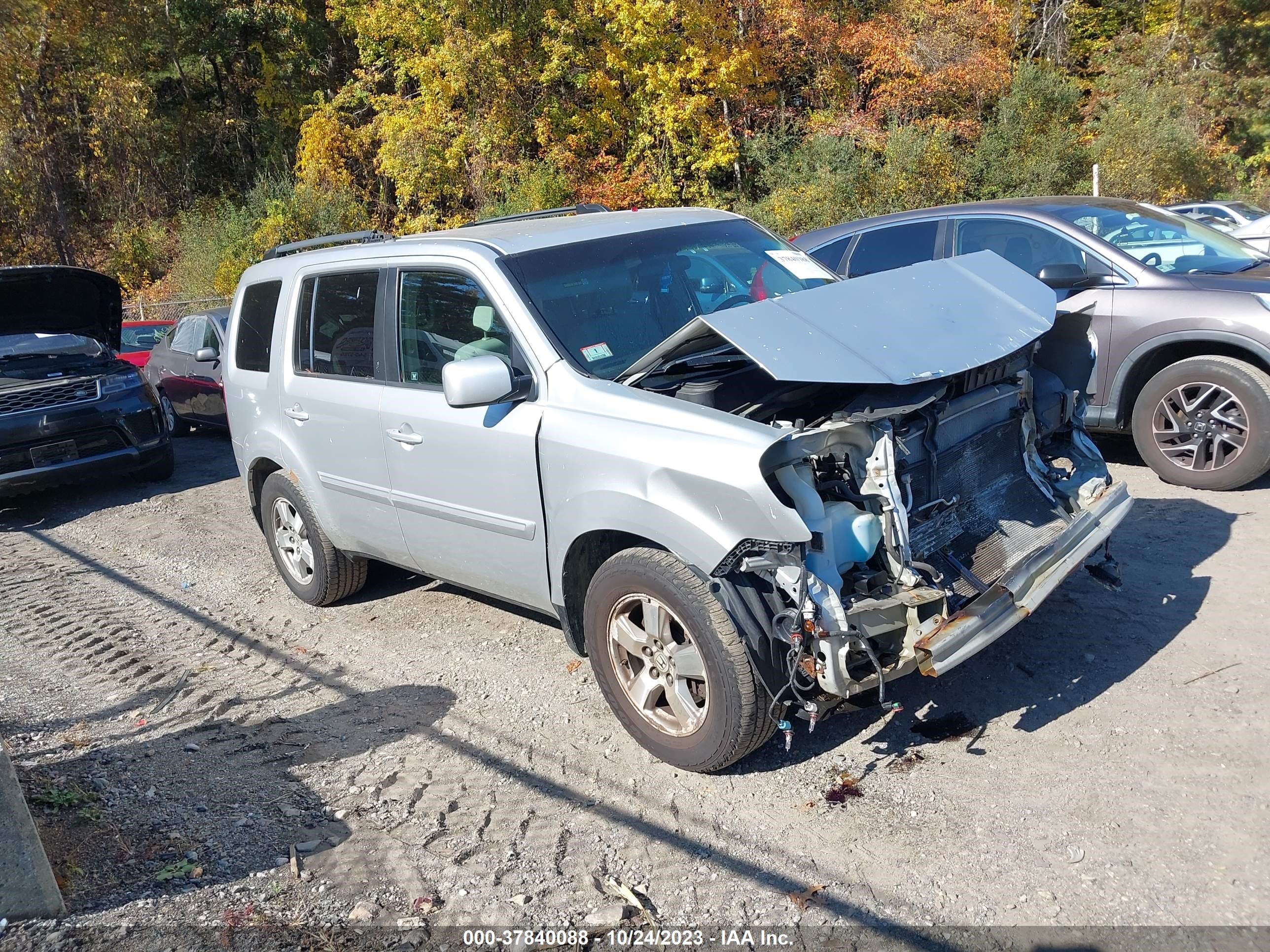 HONDA PILOT 2009 5fnyf484x9b050953