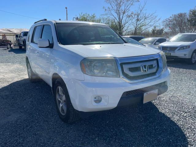 HONDA PILOT 2009 5fnyf48509b028839