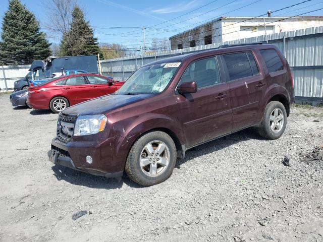 HONDA PILOT 2009 5fnyf48509b030929