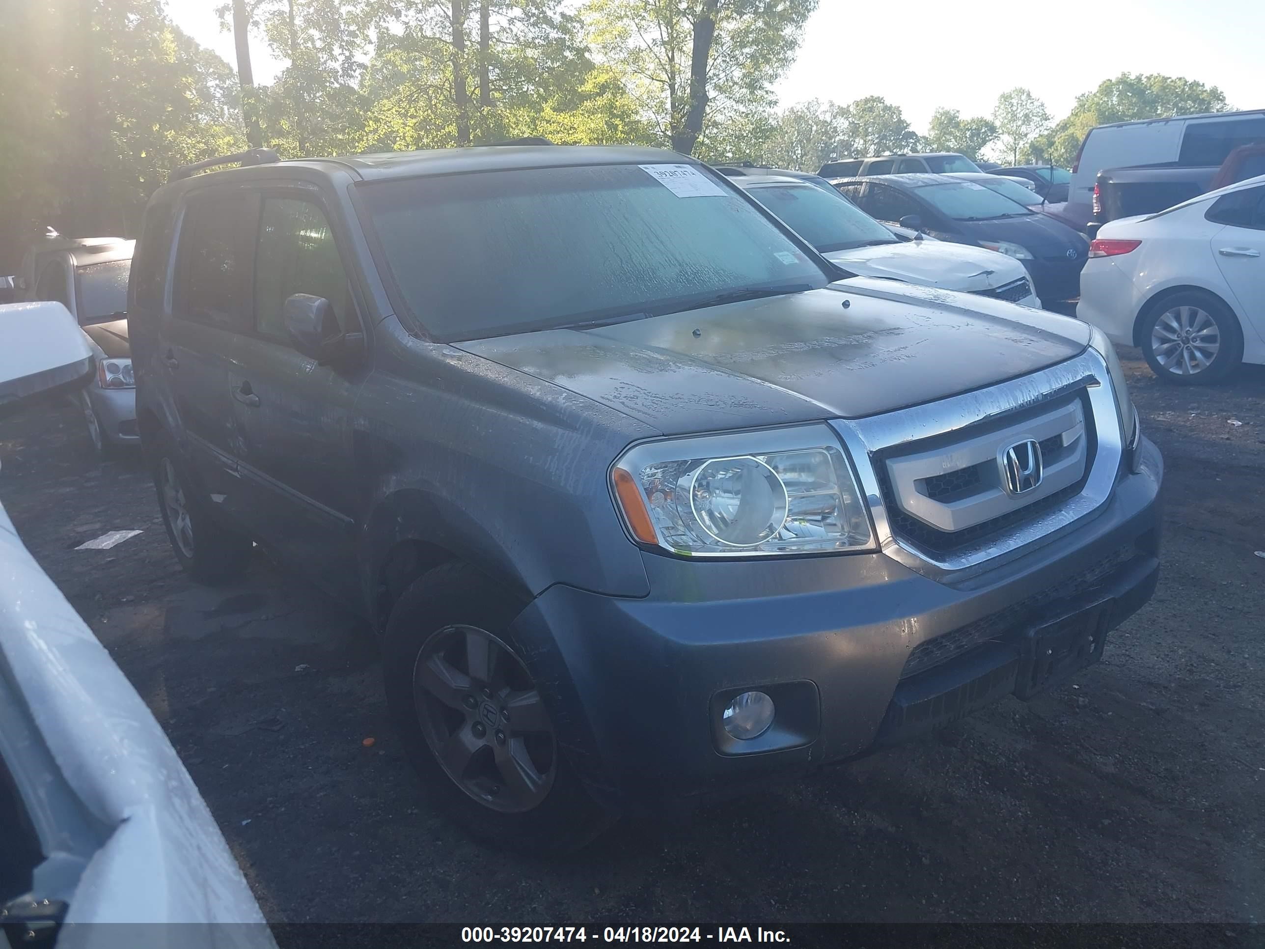 HONDA PILOT 2009 5fnyf48509b035368