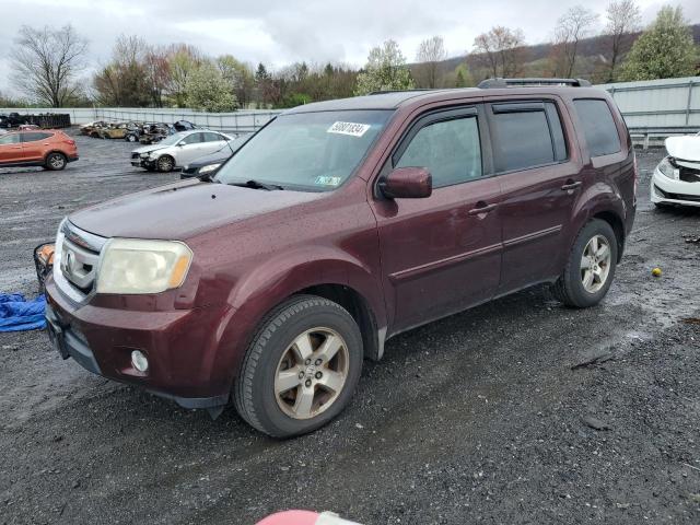 HONDA PILOT 2009 5fnyf48519b022564