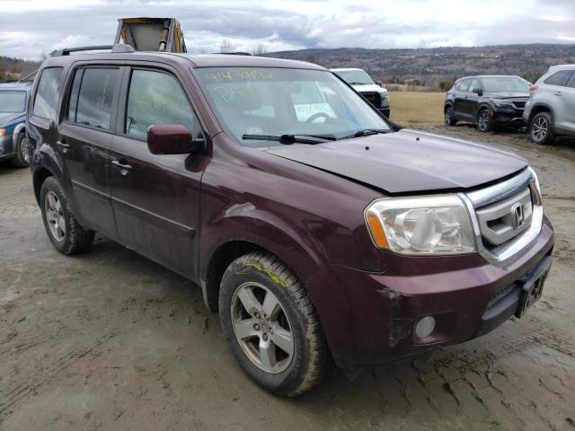 HONDA PILOT EXL 2009 5fnyf48529b043374