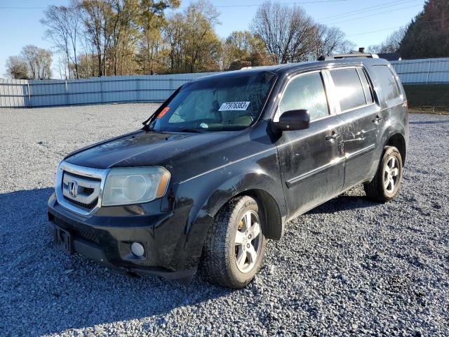 HONDA PILOT 2009 5fnyf48529b045965