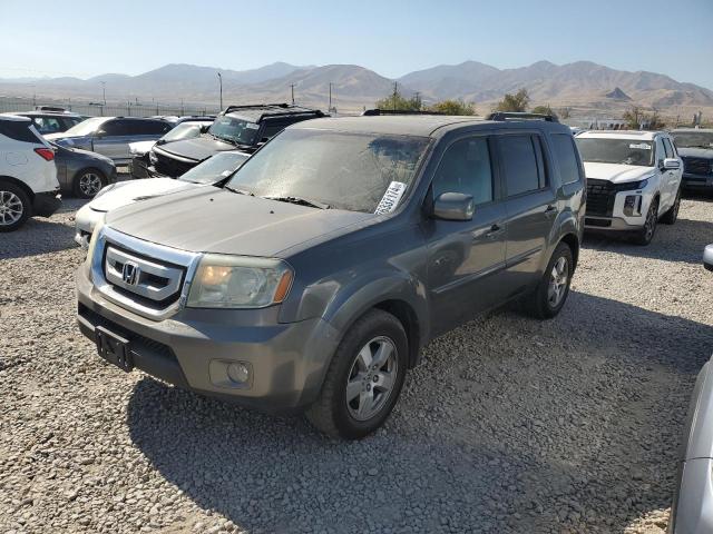 HONDA PILOT EXL 2009 5fnyf48539b001926