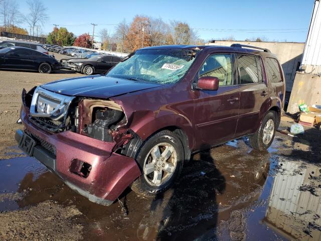 HONDA PILOT EXL 2009 5fnyf48539b014773