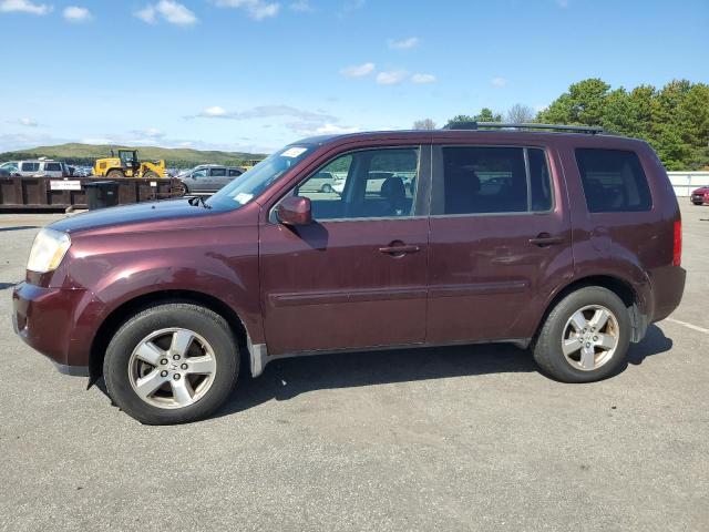 HONDA PILOT 2009 5fnyf48539b026390