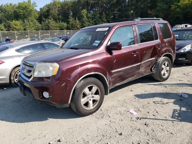 HONDA PILOT EXL 2009 5fnyf48549b028052