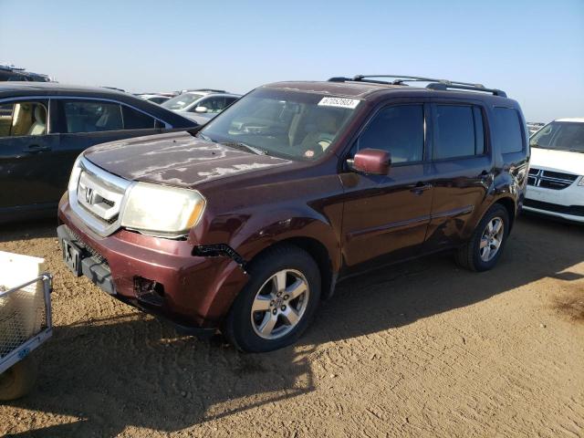 HONDA PILOT EXL 2009 5fnyf48549b028682