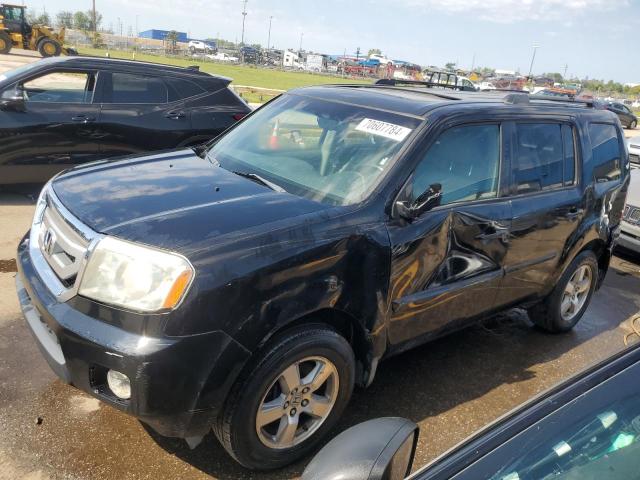 HONDA PILOT EXL 2009 5fnyf48549b034014