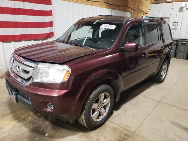 HONDA PILOT EXL 2009 5fnyf48549b035342