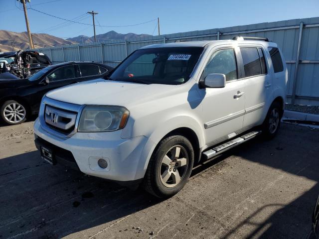 HONDA PILOT EXL 2009 5fnyf48549b046535