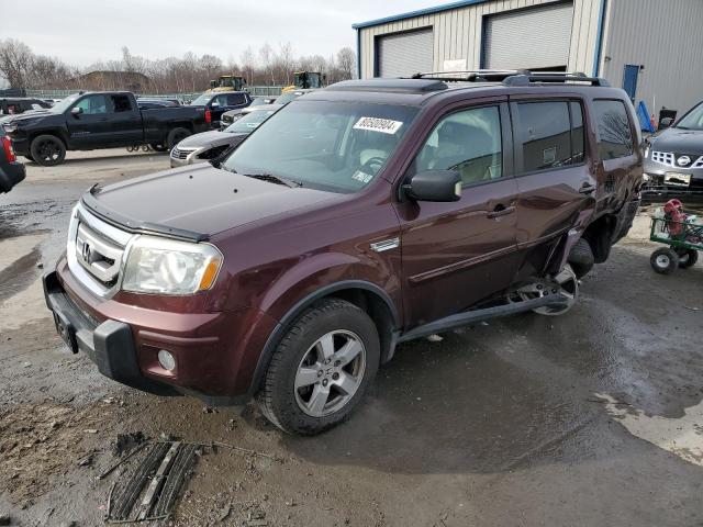 HONDA PILOT EXL 2009 5fnyf48549b051931