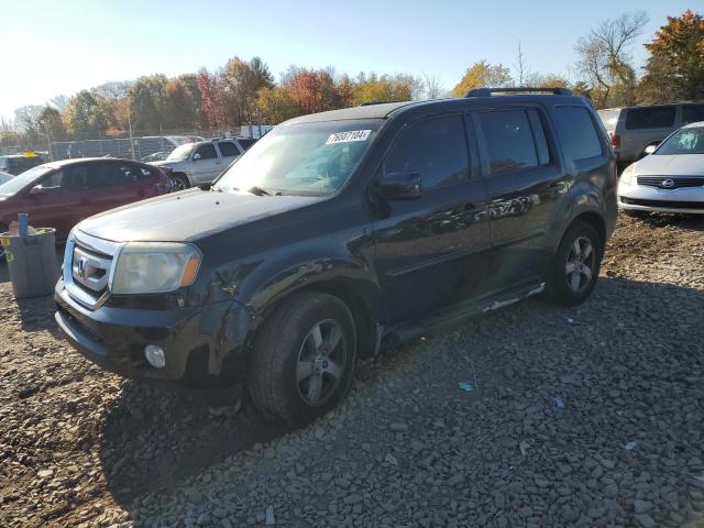 HONDA PILOT EXL 2009 5fnyf48559b006433