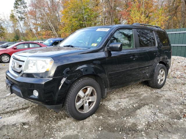 HONDA PILOT 2009 5fnyf48559b032546