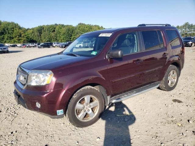 HONDA PILOT EXL 2009 5fnyf48569b014802