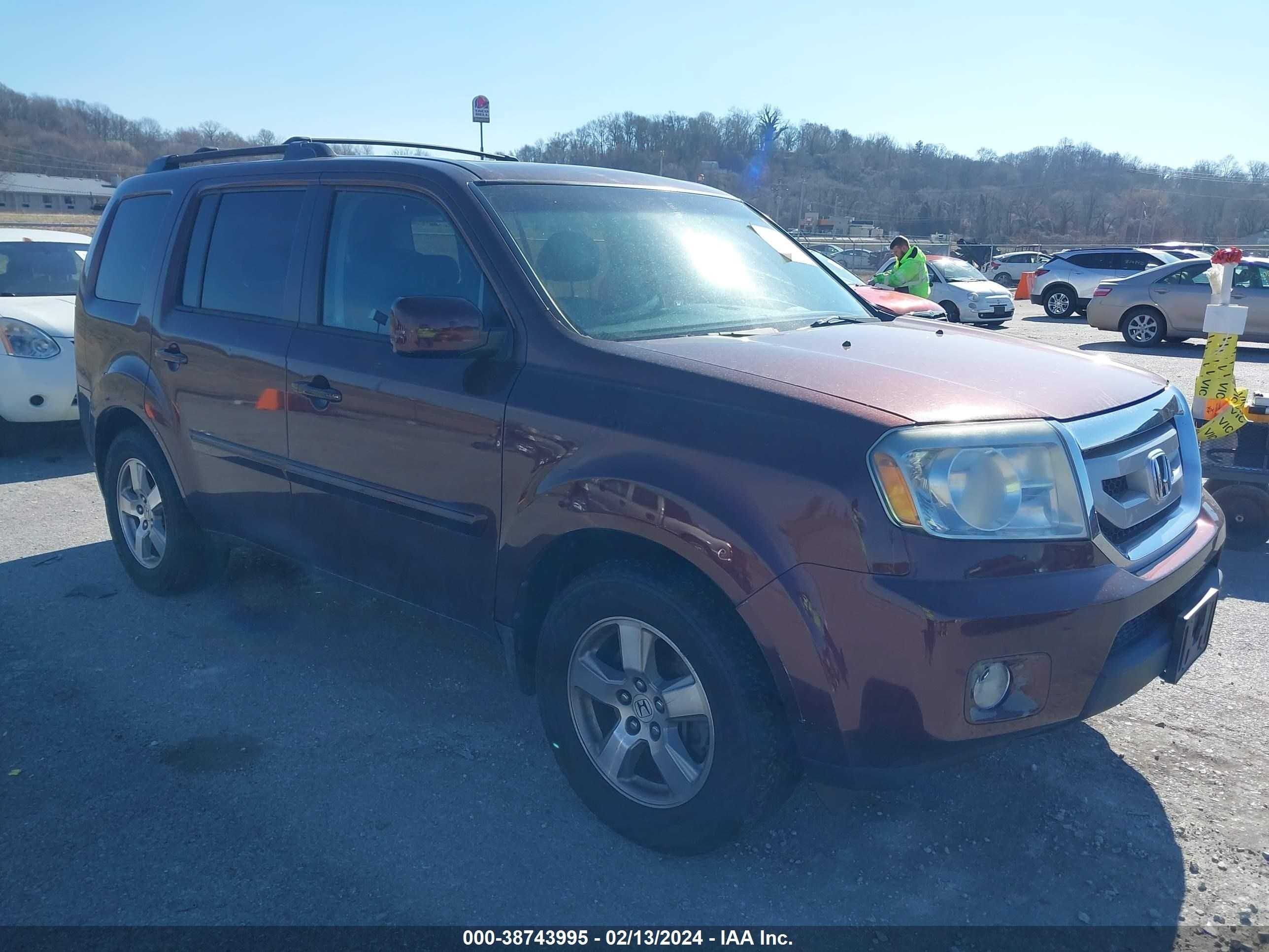 HONDA PILOT 2009 5fnyf48569b030904