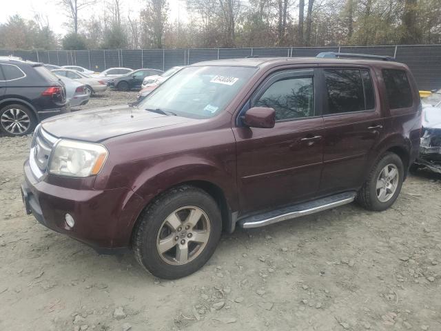 HONDA PILOT EXL 2009 5fnyf48579b027607