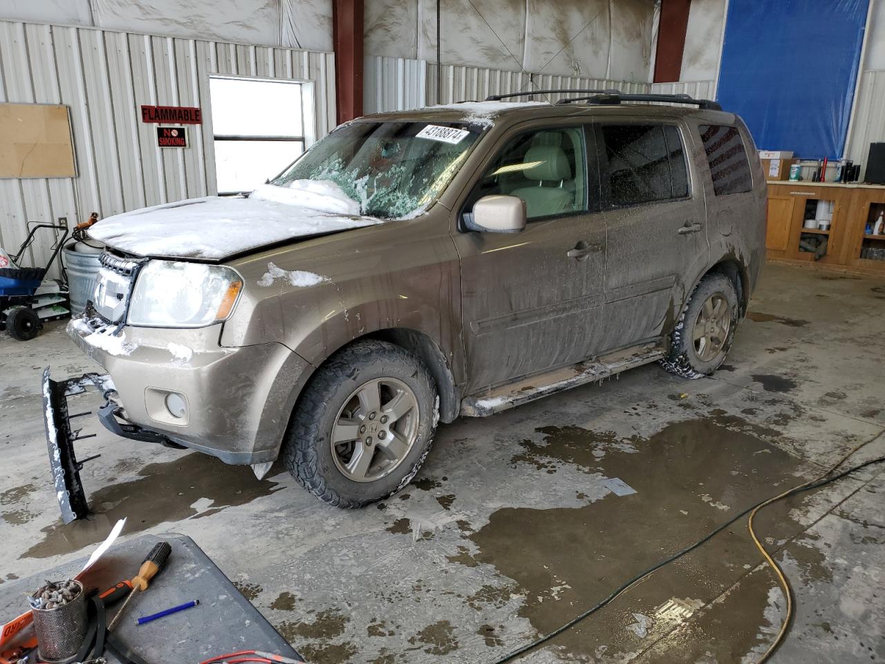 HONDA PILOT 2009 5fnyf48579b036033