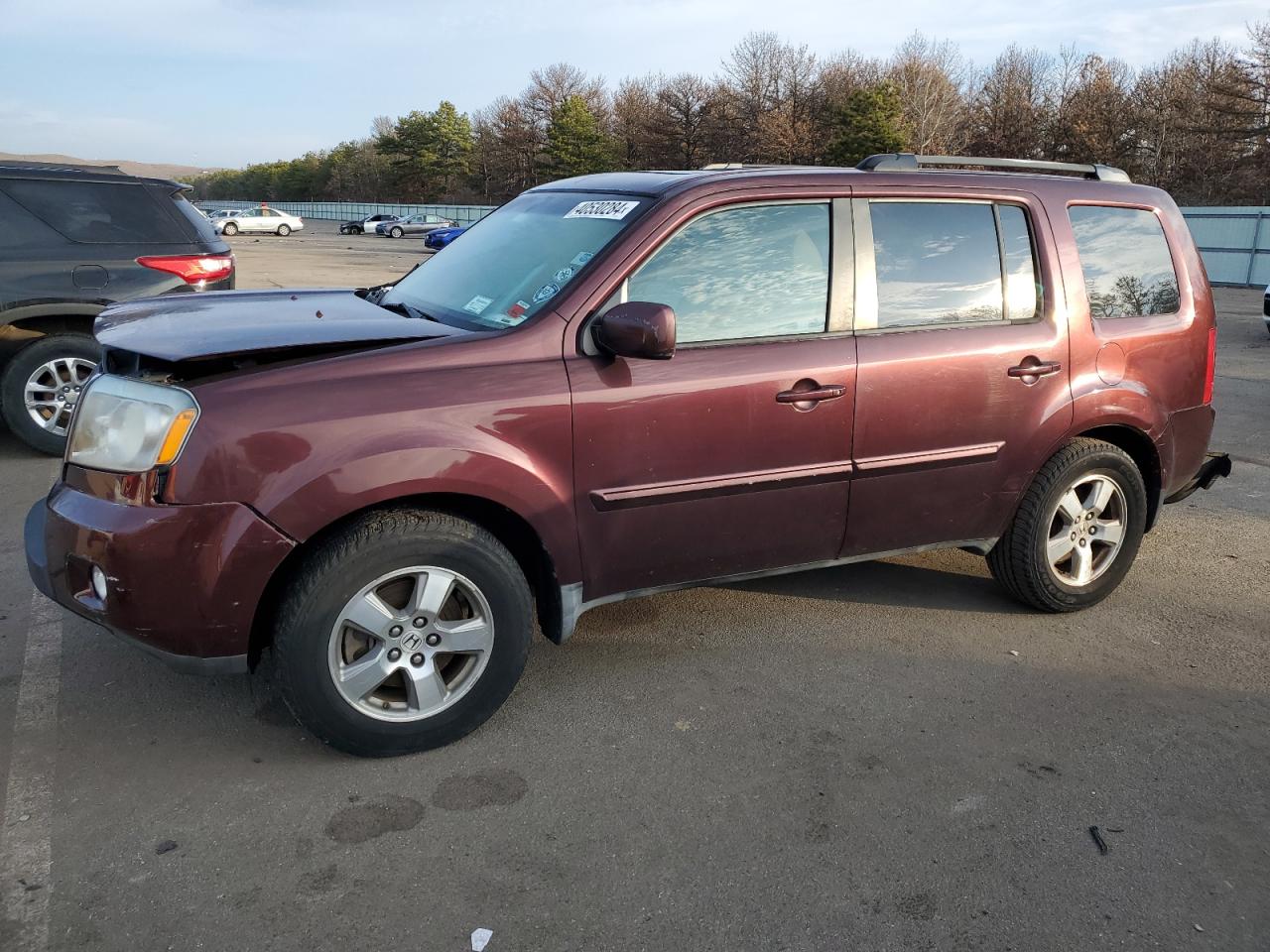 HONDA PILOT 2009 5fnyf48589b029334