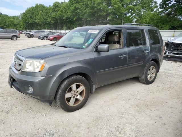 HONDA PILOT 2009 5fnyf48599b008377