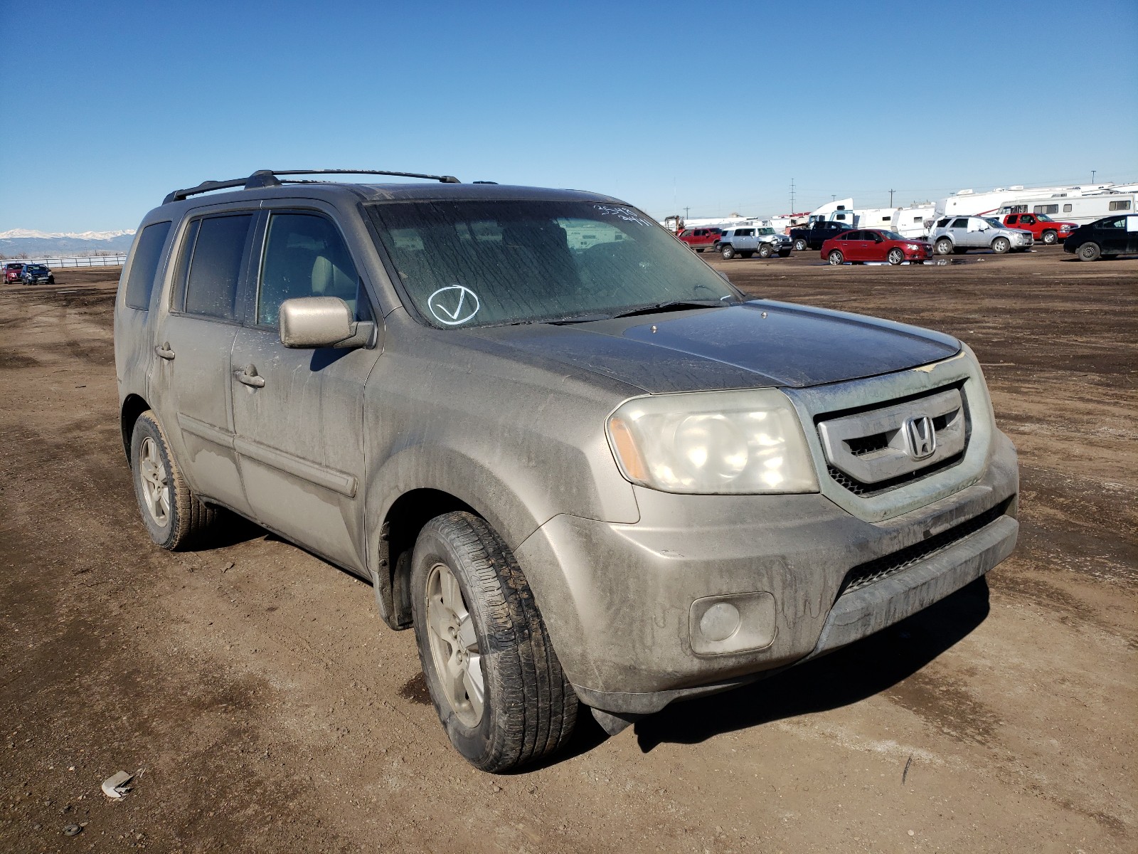 HONDA PILOT EXL 2009 5fnyf48599b019153