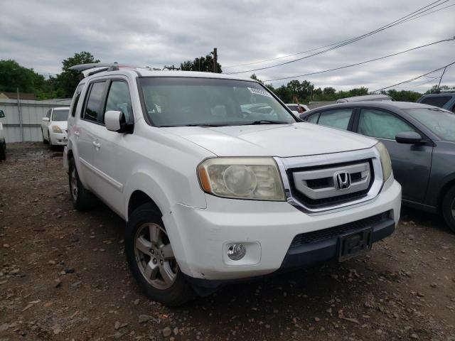 HONDA PILOT EXL 2009 5fnyf48599b030105