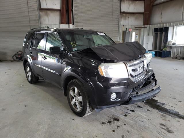 HONDA PILOT EXL 2009 5fnyf48599b045591