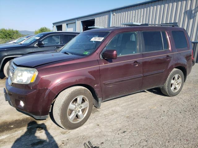 HONDA PILOT EXL 2009 5fnyf48599b045896