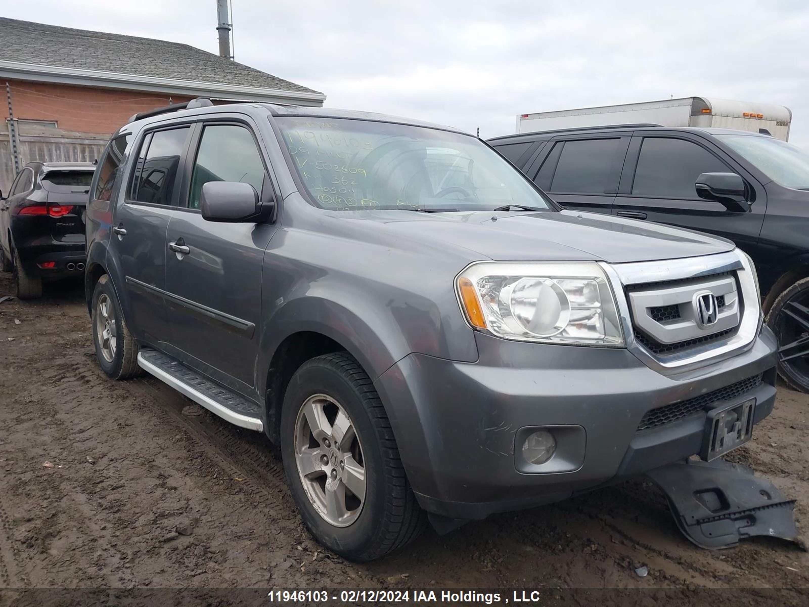 HONDA PILOT 2009 5fnyf48599b502609