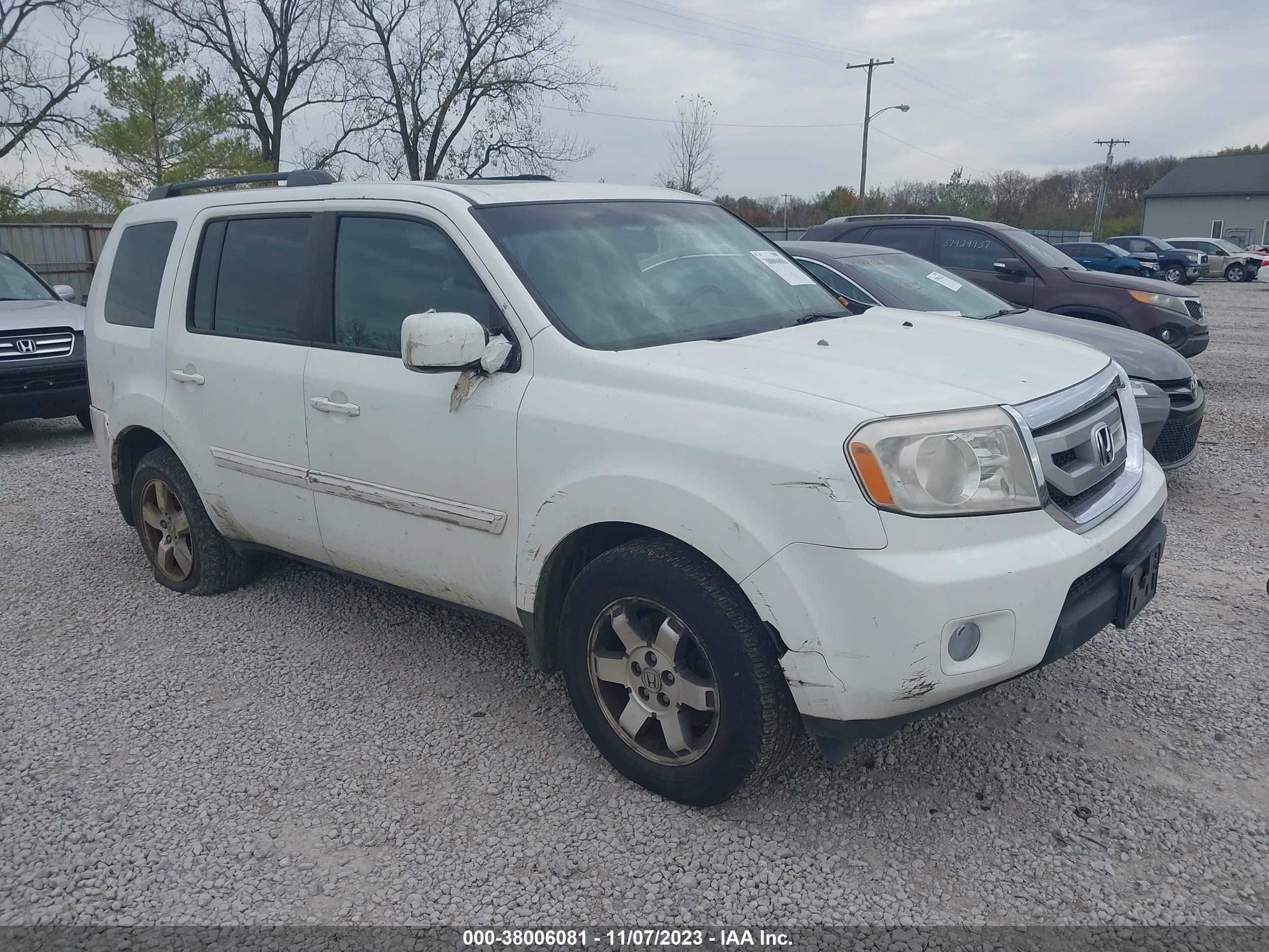 HONDA PILOT 2009 5fnyf48609b052423