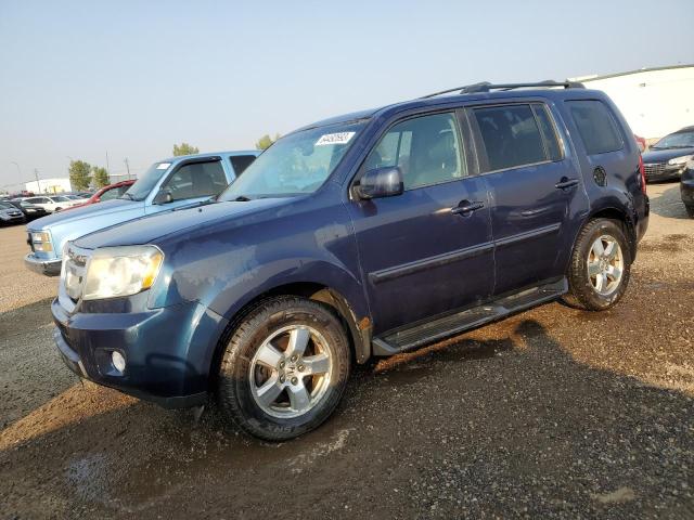 HONDA PILOT EXL 2009 5fnyf48619b024078