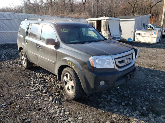 HONDA PILOT EXL 2009 5fnyf48629b012361