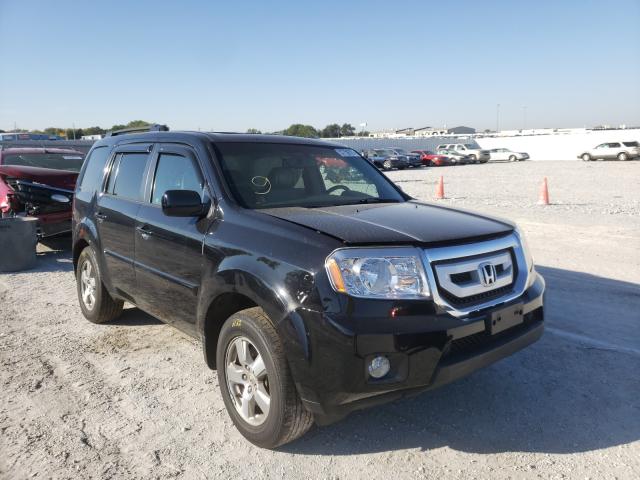 HONDA PILOT EXL 2009 5fnyf48639b051038