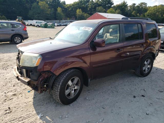 HONDA PILOT EXL 2009 5fnyf48649b020011