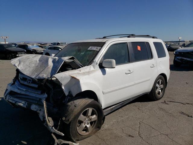 HONDA PILOT 2009 5fnyf48659b041563