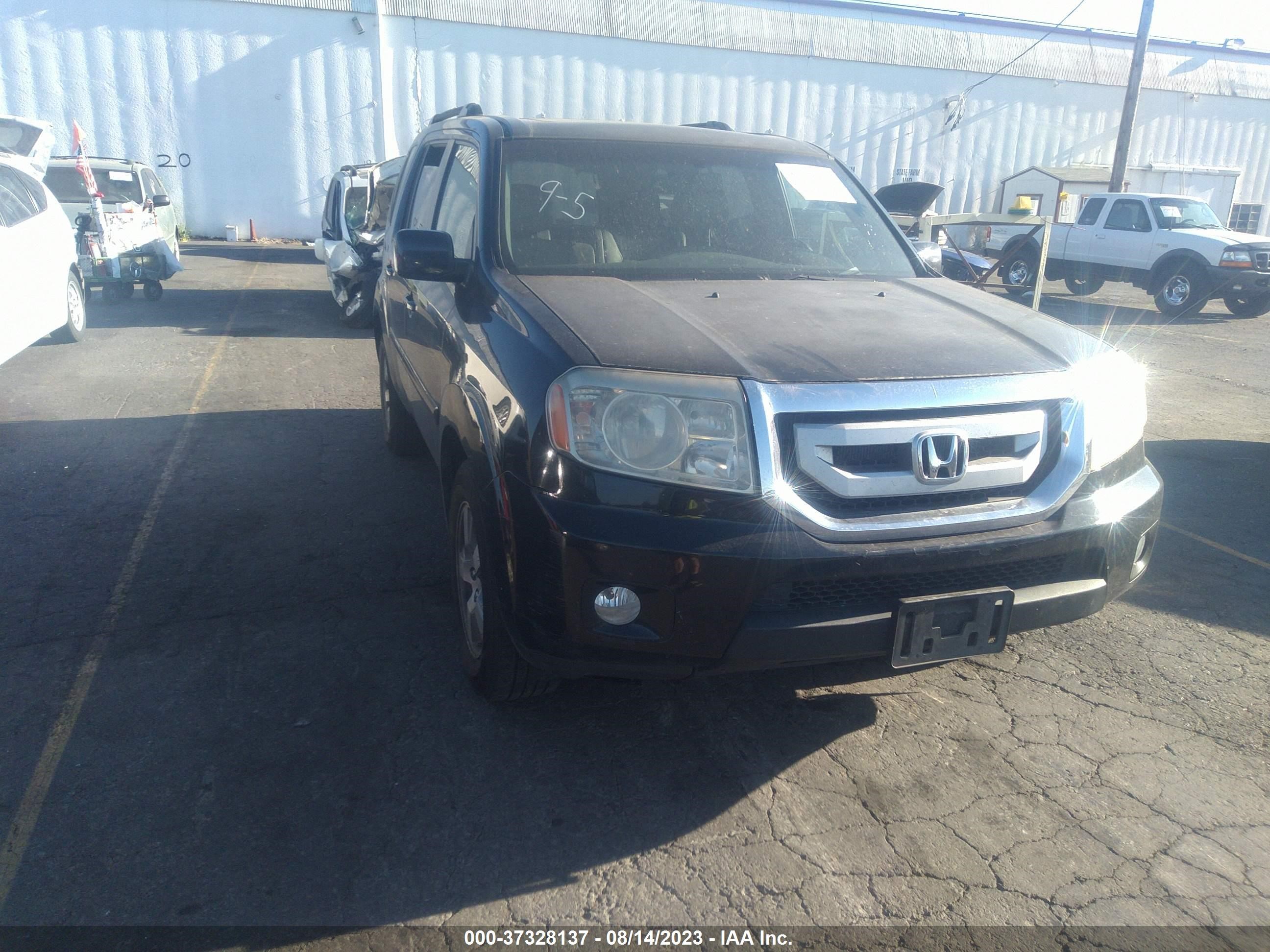 HONDA PILOT 2009 5fnyf48659b044611