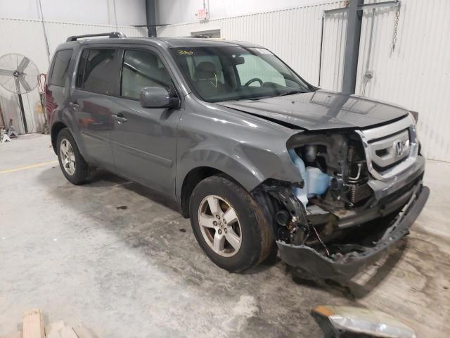 HONDA PILOT EXL 2009 5fnyf48669b018664