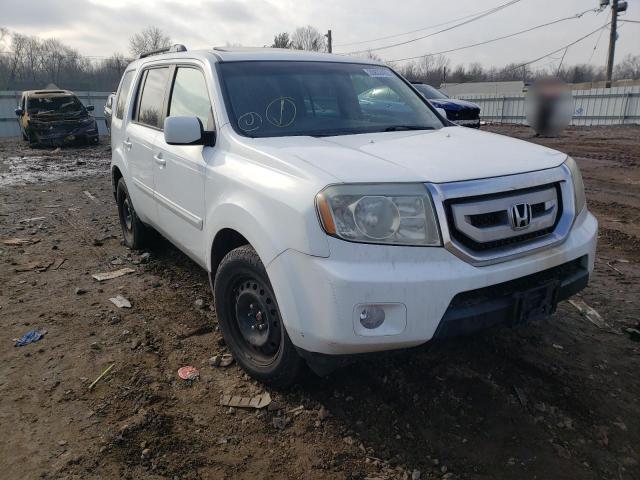 HONDA PILOT EXL 2009 5fnyf48669b035917