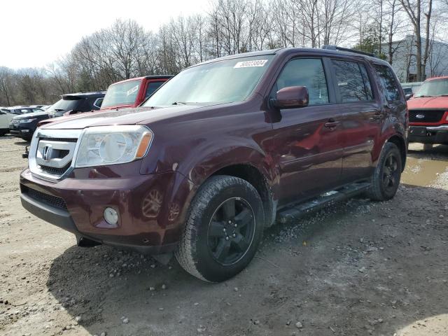 HONDA PILOT 2009 5fnyf48689b014115