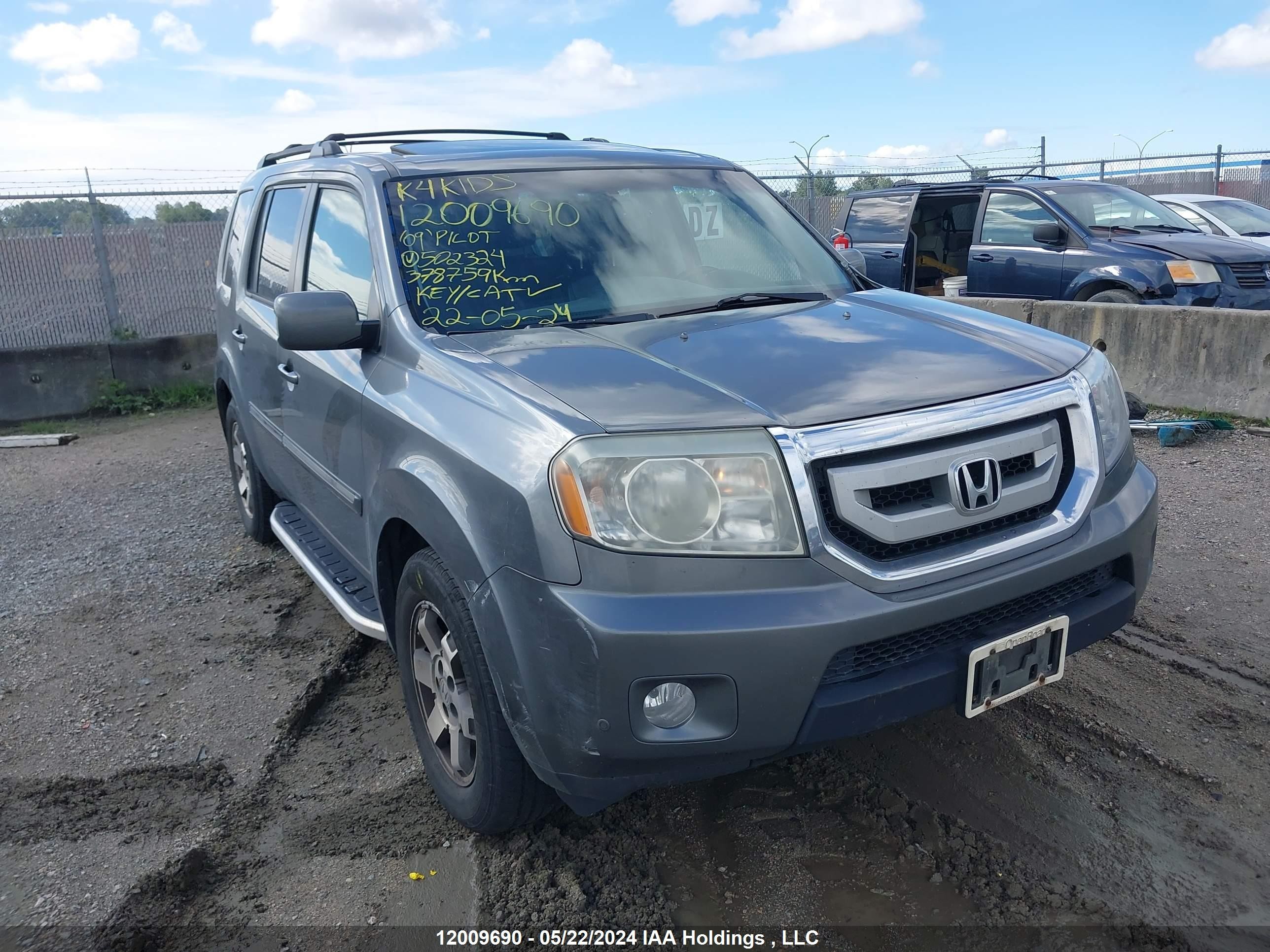 HONDA PILOT 2009 5fnyf48909b502324