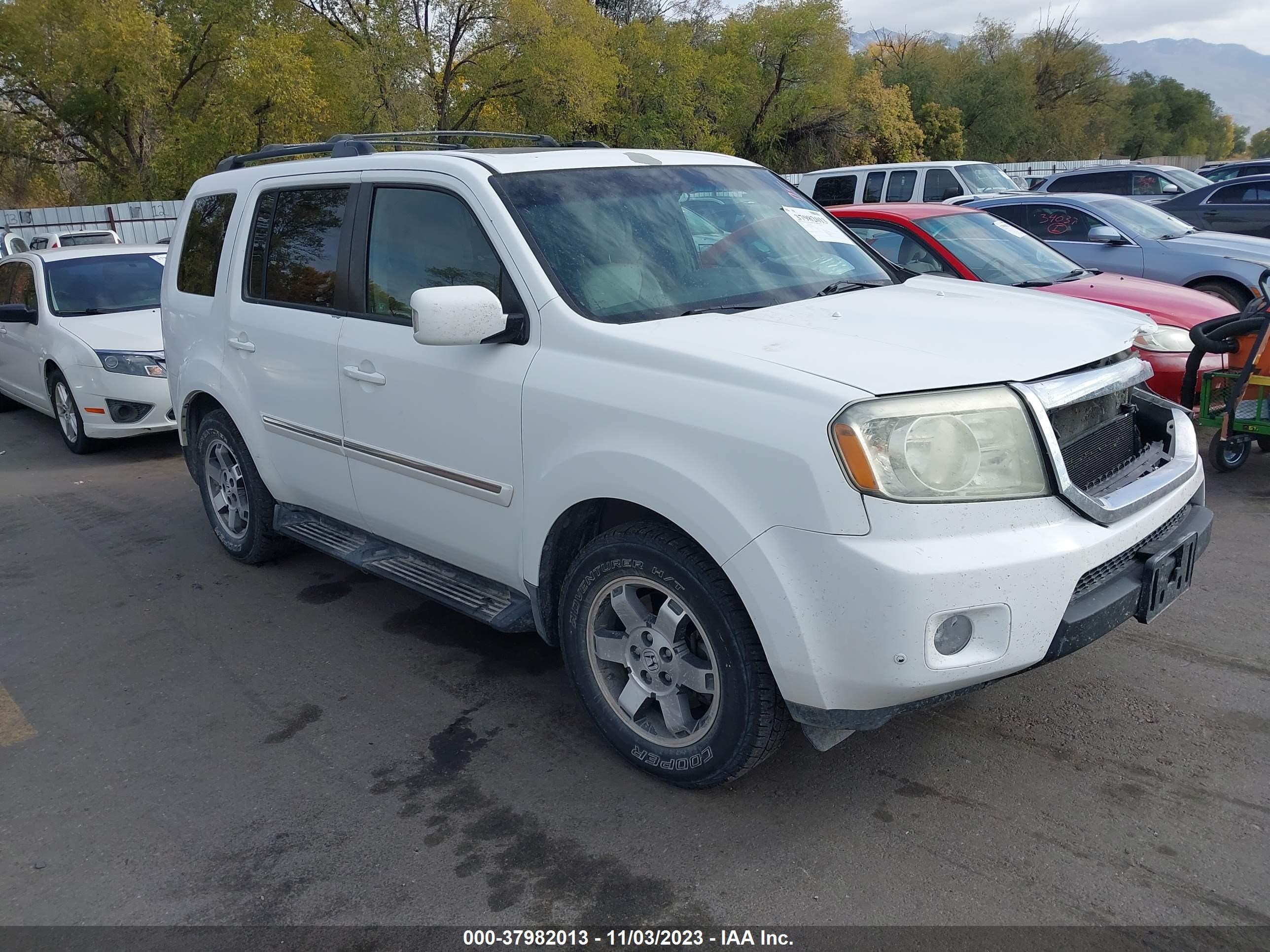 HONDA PILOT 2009 5fnyf48939b050983