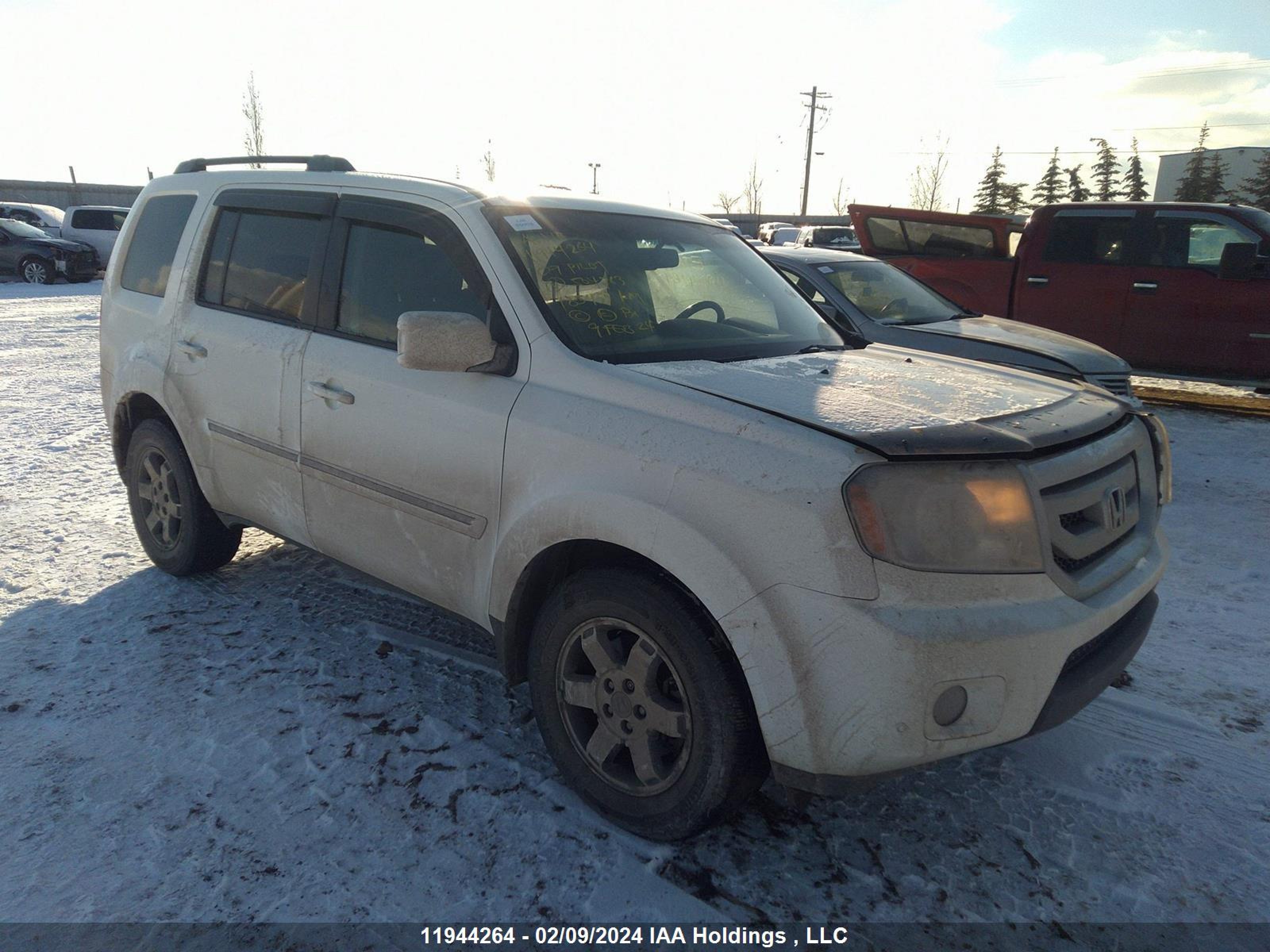 HONDA PILOT 2009 5fnyf48939b504763