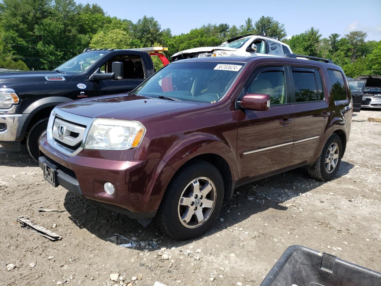 HONDA PILOT 2009 5fnyf48949b015384