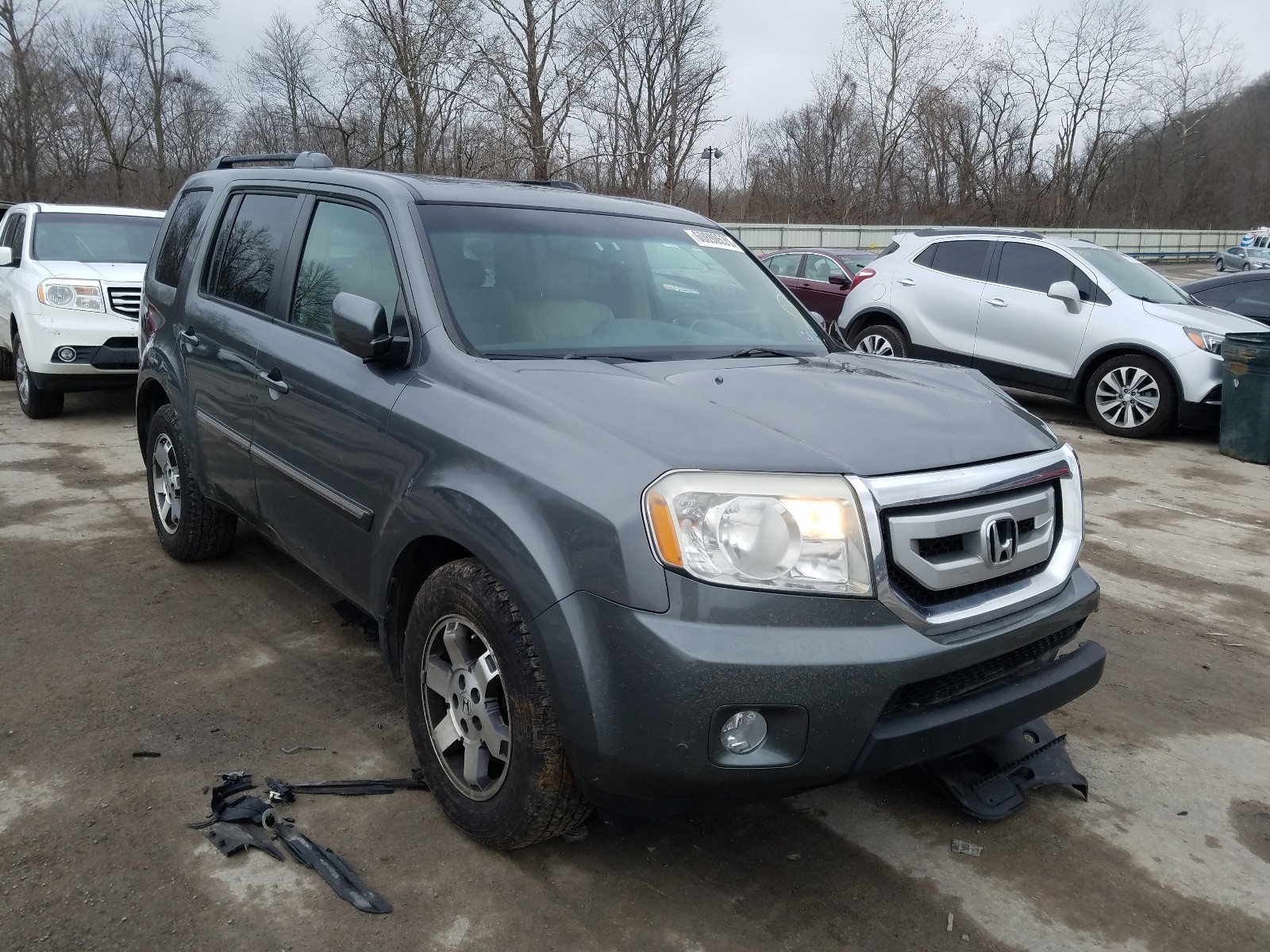 HONDA PILOT TOUR 2009 5fnyf48959b015541