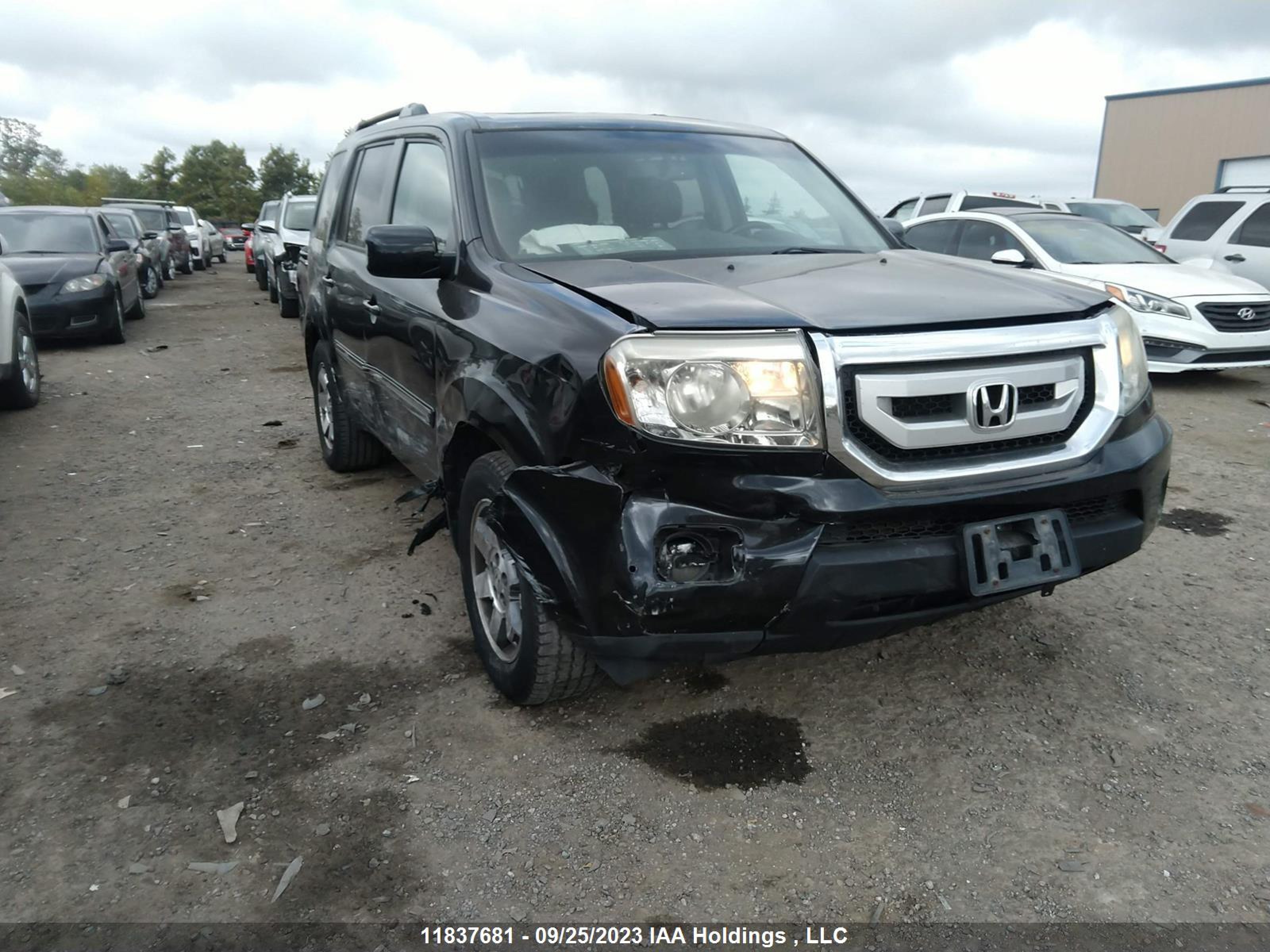 HONDA PILOT 2009 5fnyf48979b503261